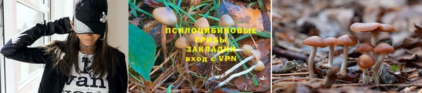 MESCALINE Зеленодольск