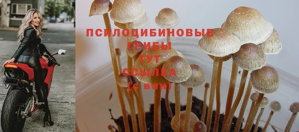 а пвп мука Зеленокумск