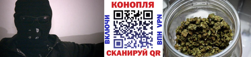Бошки марихуана конопля  цены   Магнитогорск 